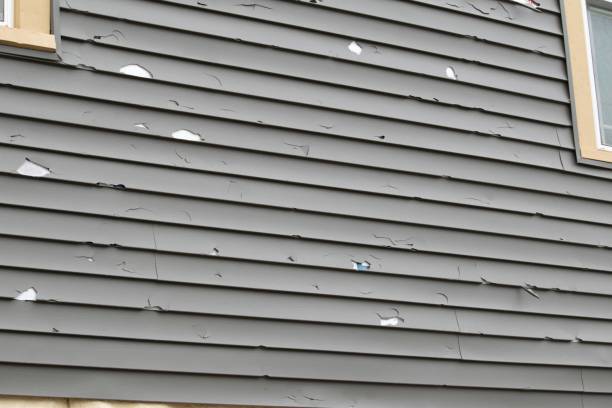 Best Shed Removal  in Girardville, PA